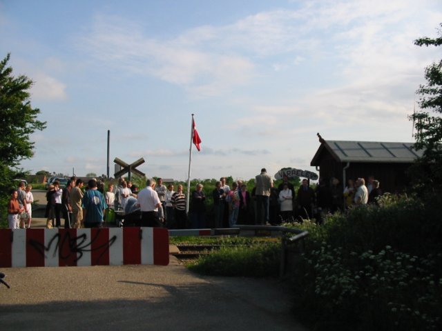 trinbrt2002009.jpg
