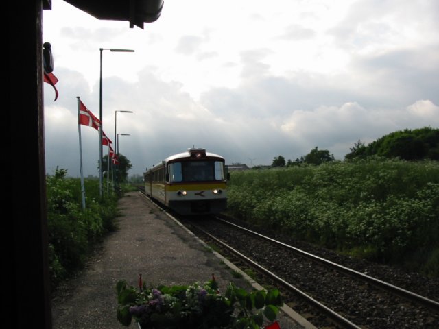 trinbrt2002013.jpg