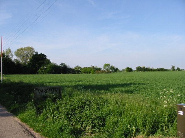 trinbrt20030004.jpg