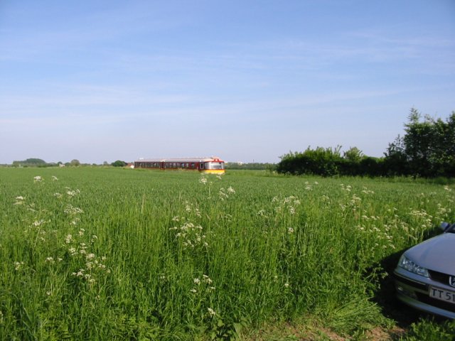 trinbrt20030005.jpg